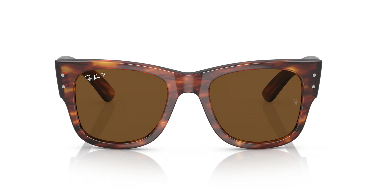 MEGA WAYFARER MARRÓN