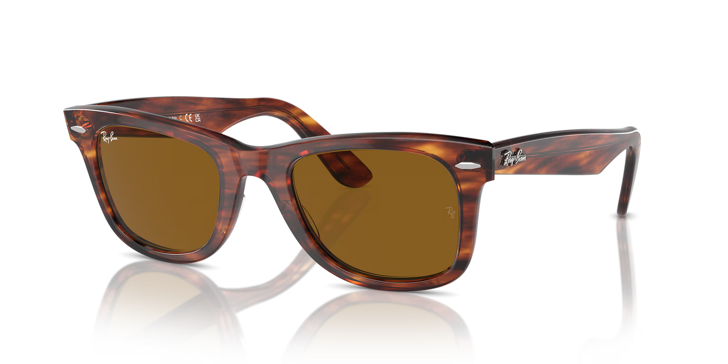 Wayfarer Classic - Marron