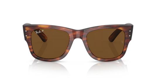 MEGA WAYFARER MARRÓN