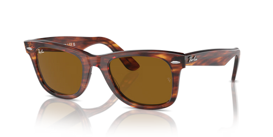 Wayfarer Classic - Marron