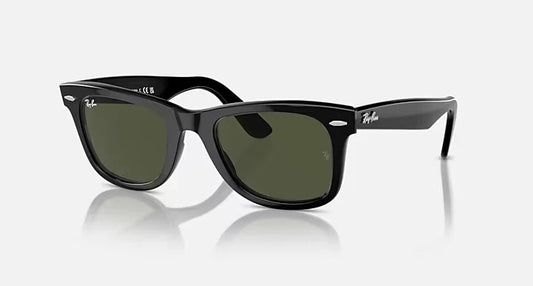 WAYFARER - NEGRO